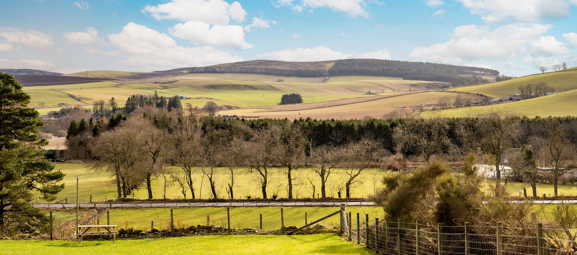 Panoramic estate view