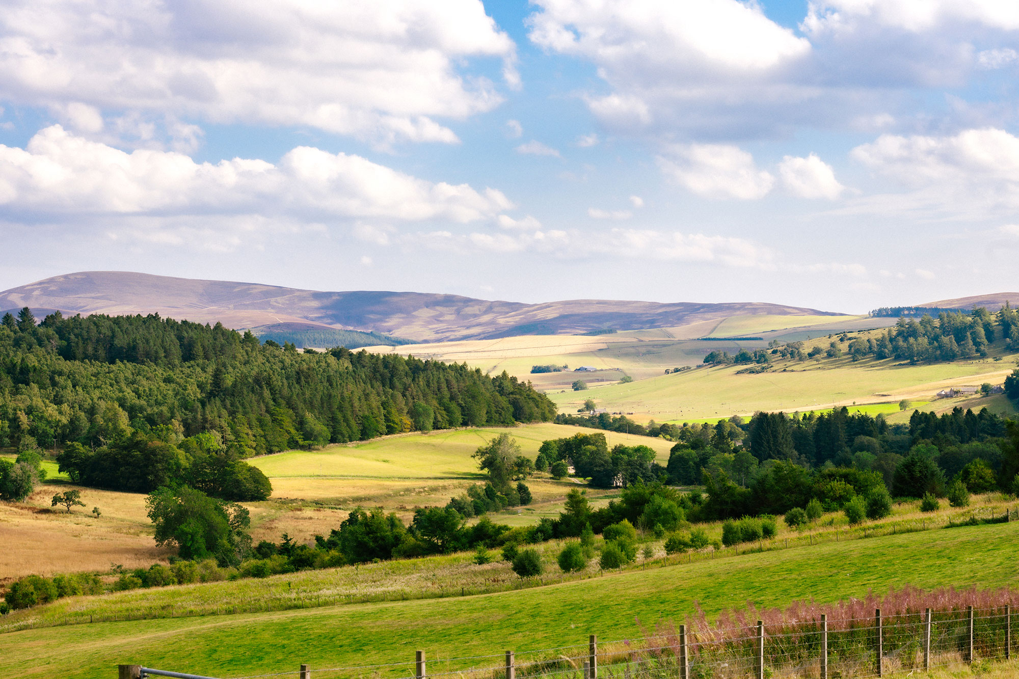 Outdoor Landscape
