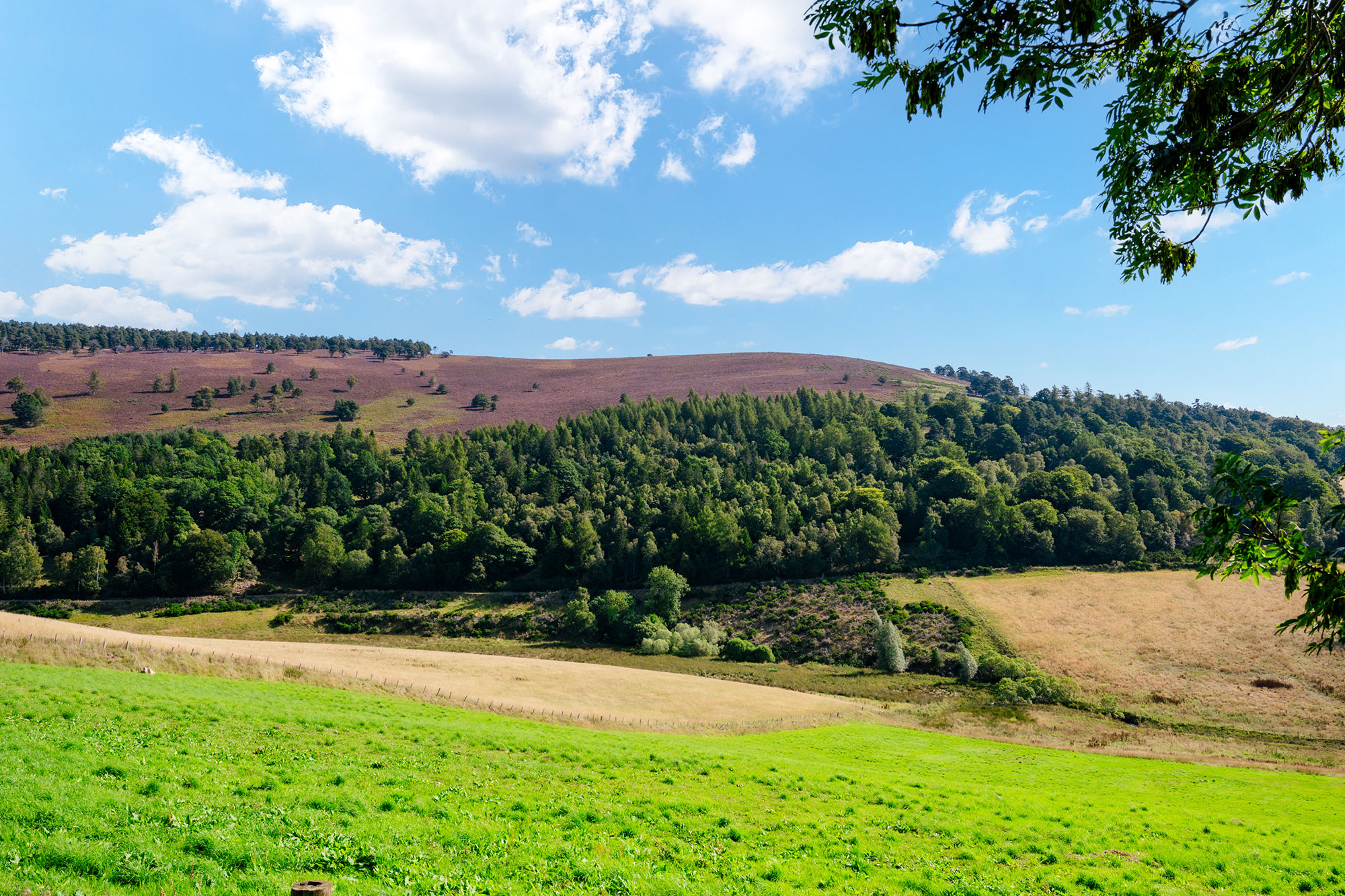 Outdoor Landscape